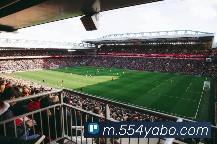 登录器